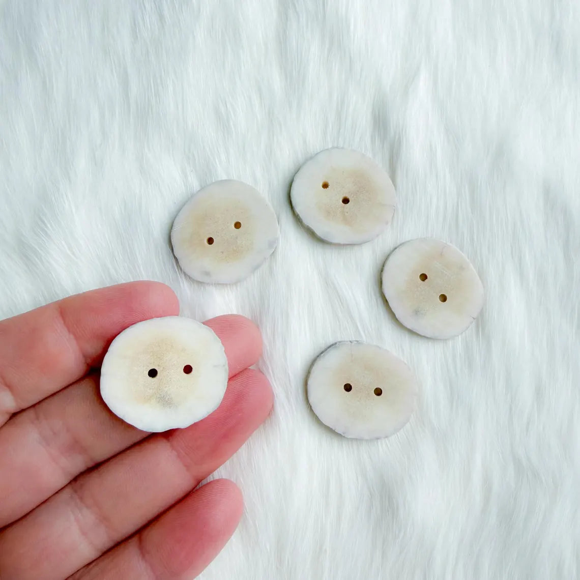 Northern Antlers - Moose Antler Buttons