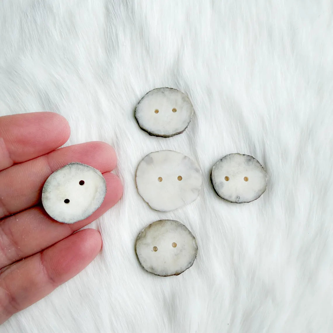 Northern Antlers - Moose Antler Buttons