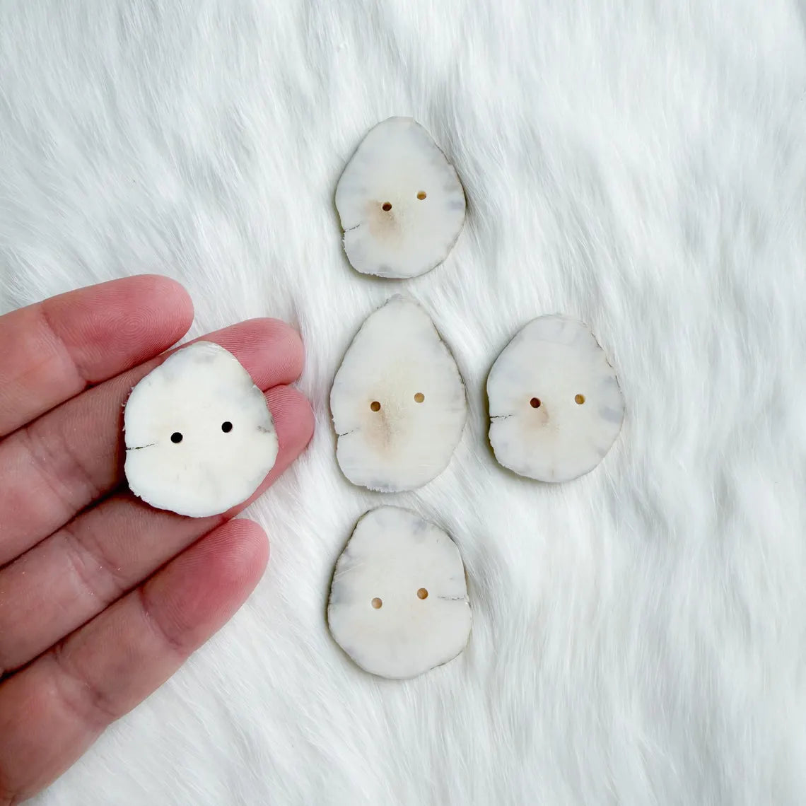 Northern Antlers - Moose Antler Buttons