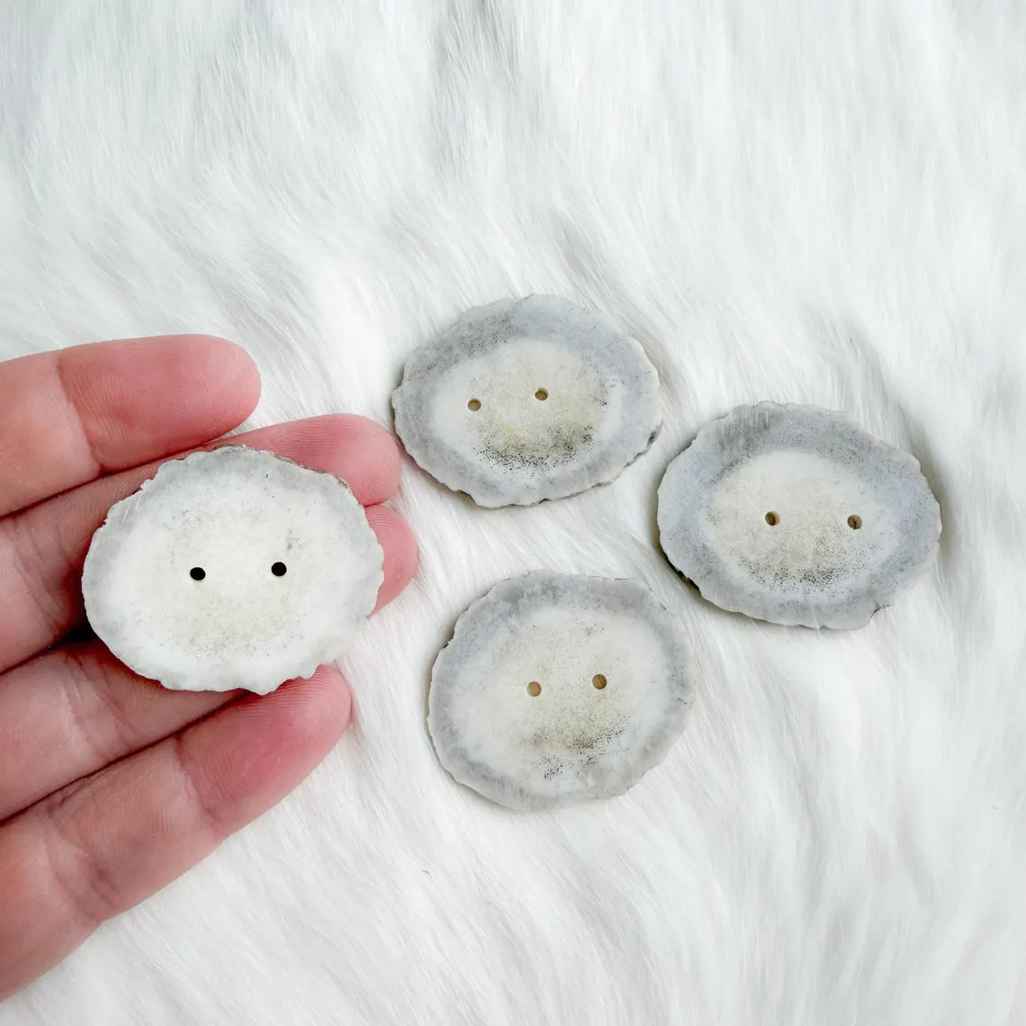 Northern Antlers - Moose Antler Buttons