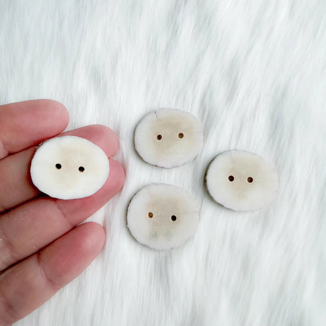 Northern Antlers - Moose Antler Buttons