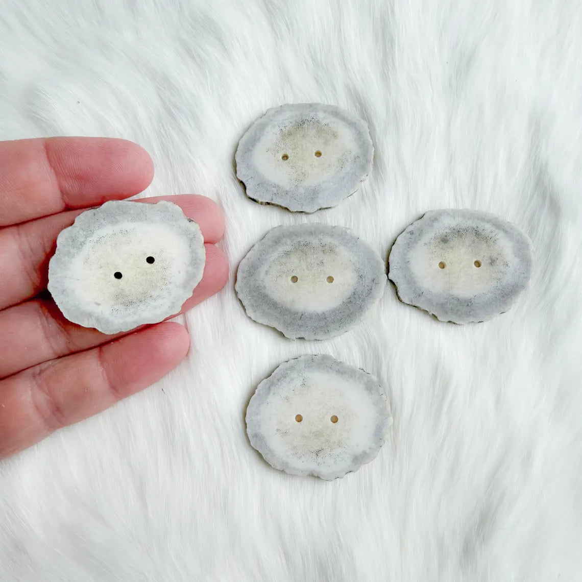 Northern Antlers - Moose Antler Buttons