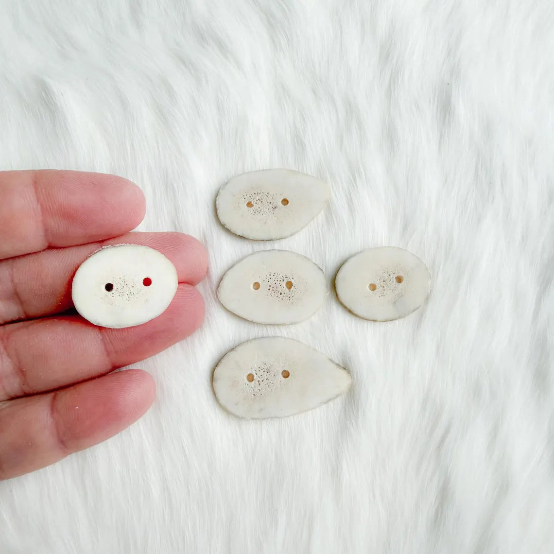Northern Antlers - Moose Antler Buttons