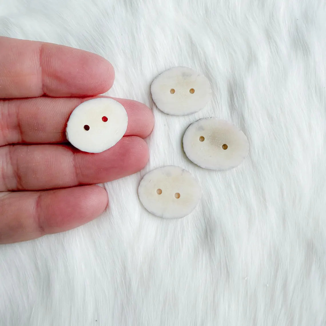 Northern Antlers - Moose Antler Buttons