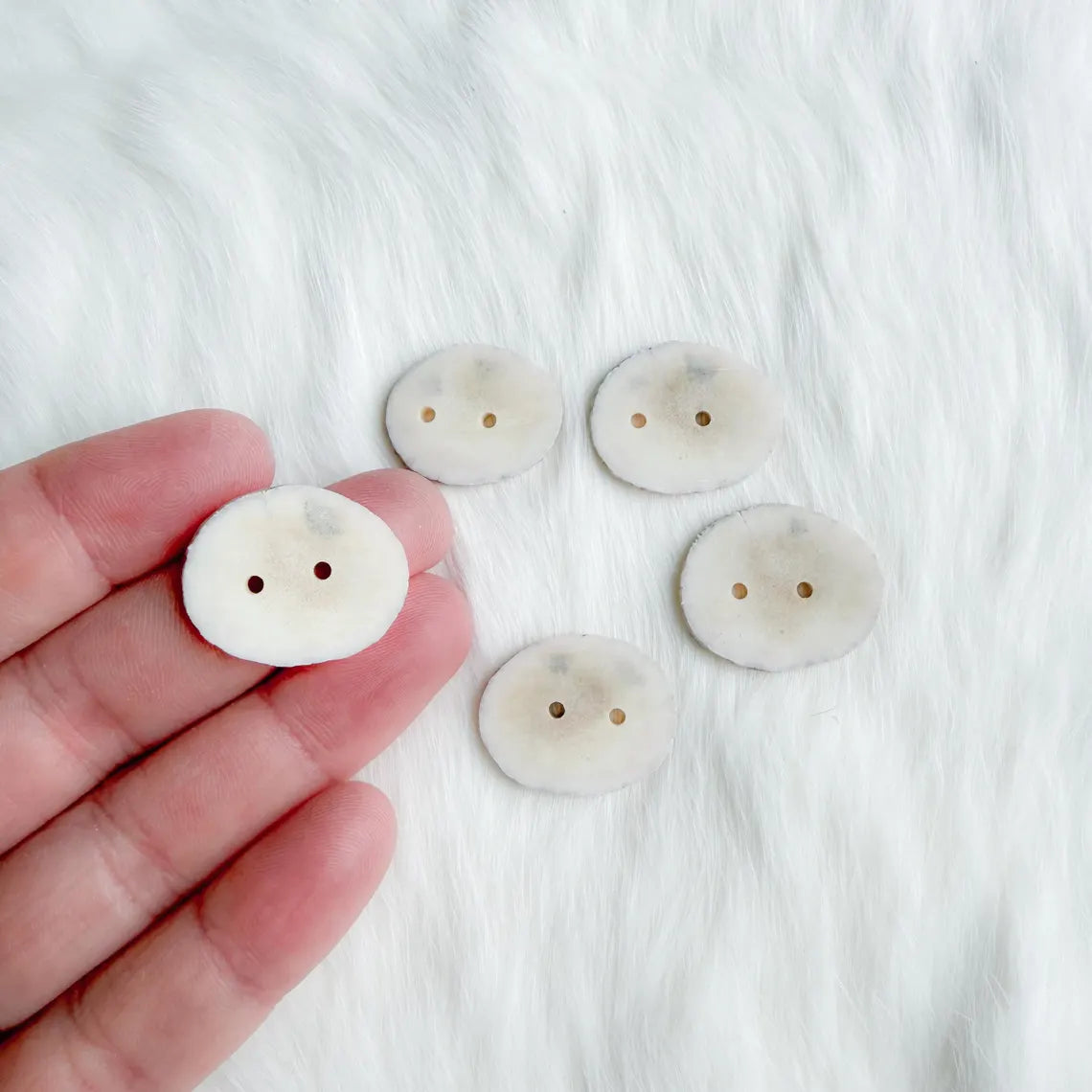 Northern Antlers - Moose Antler Buttons