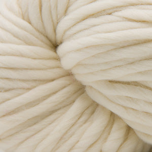Cascade Yarns Spuntaneous